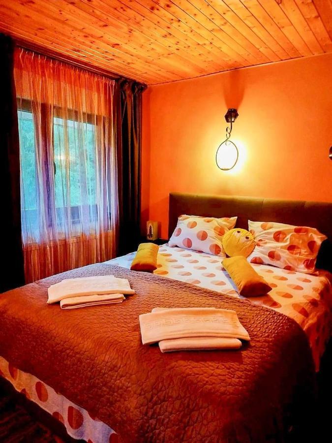 Hotel Casa Artemi Remeţi Esterno foto