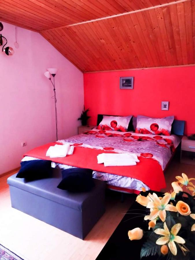 Hotel Casa Artemi Remeţi Esterno foto
