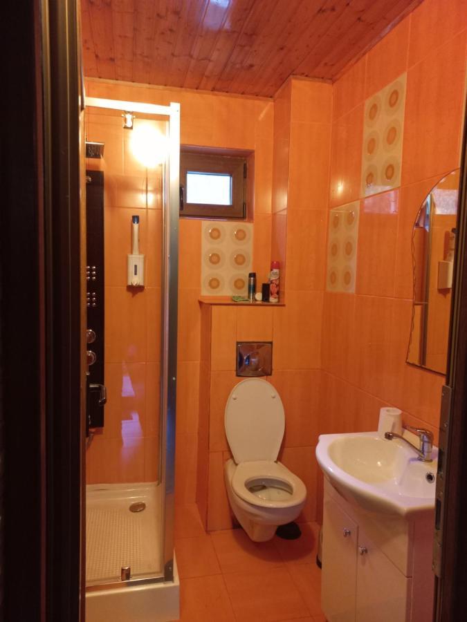 Hotel Casa Artemi Remeţi Esterno foto
